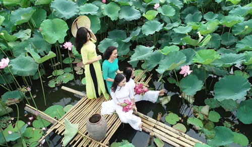 Hái ra tiền nhờ dịch vụ cho thuê đầm sen chụp ảnh